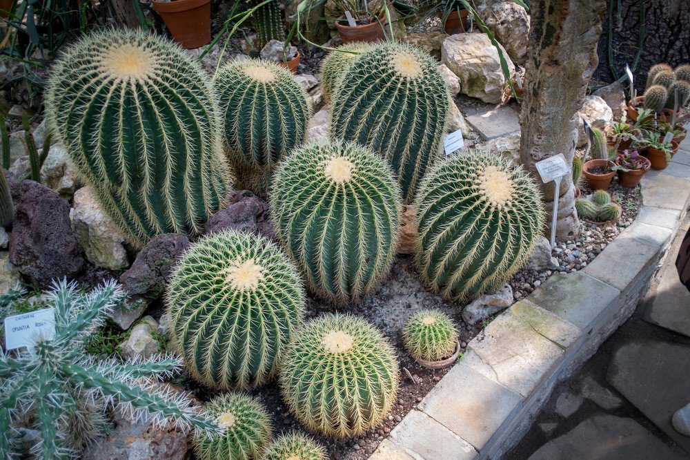 Photograph by Мария Причиненко