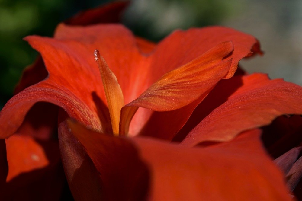 Photograph by Beatriz Games