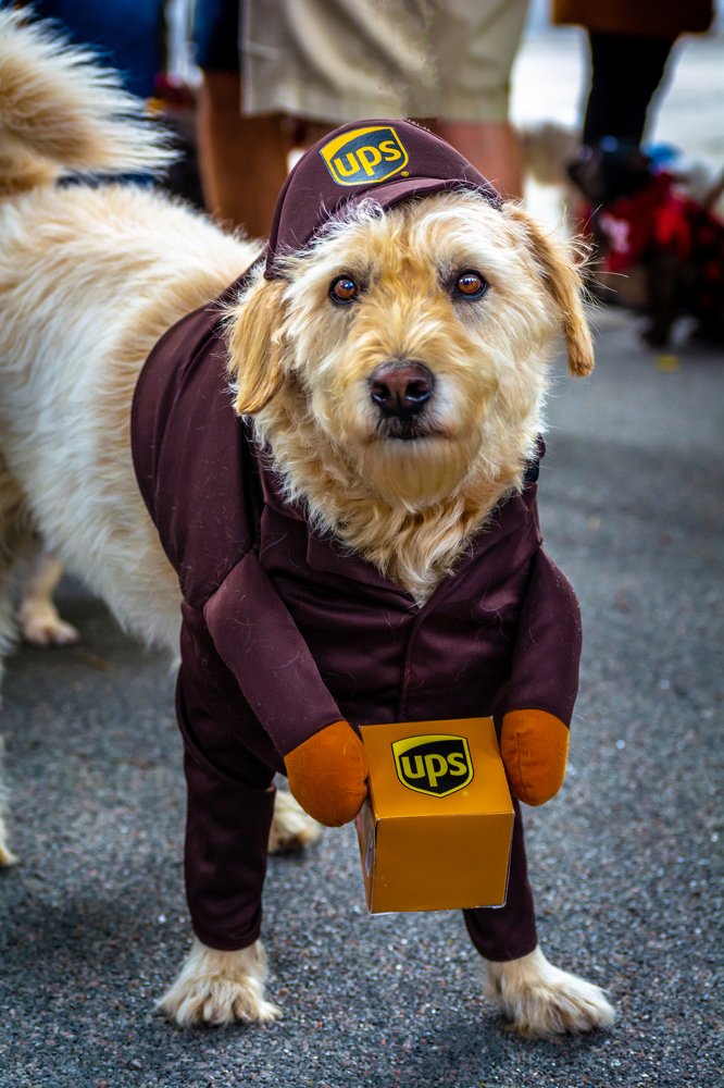 Photograph by Koel Das