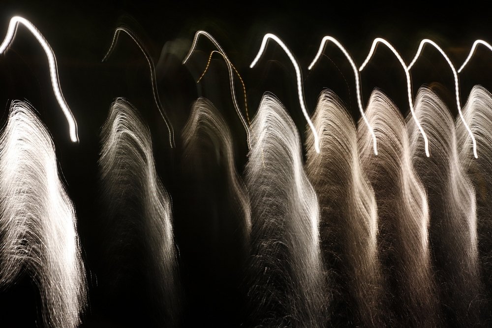 Napoleon army on Leman