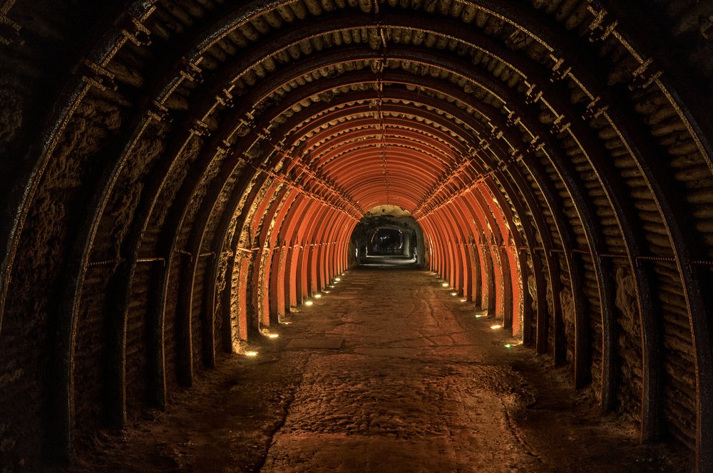 Photograph by Andrius La Rotta