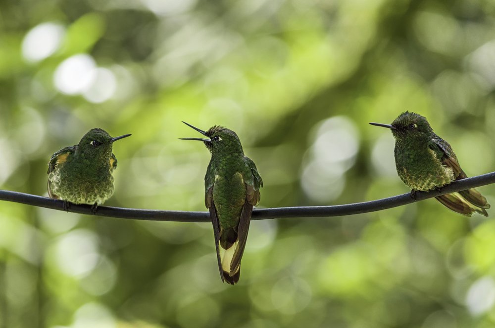 Photograph by Andrius La Rotta