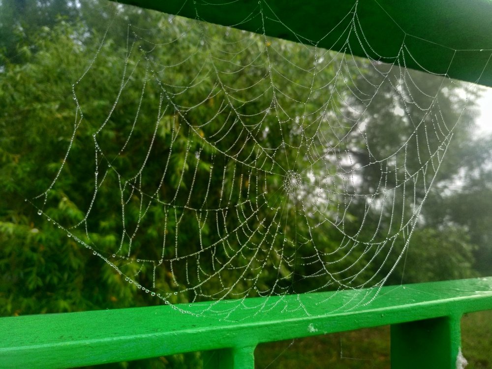 Photograph by Юрий Карач