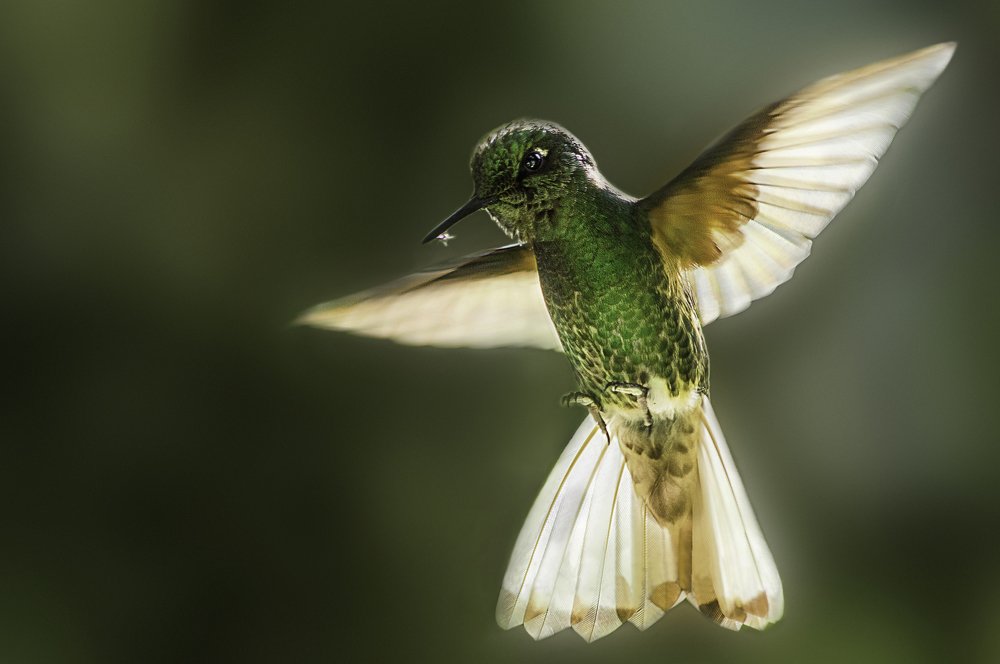 Photograph by Andrius La Rotta