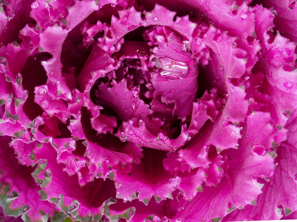 Фотография автора Olena Vorotyntseva