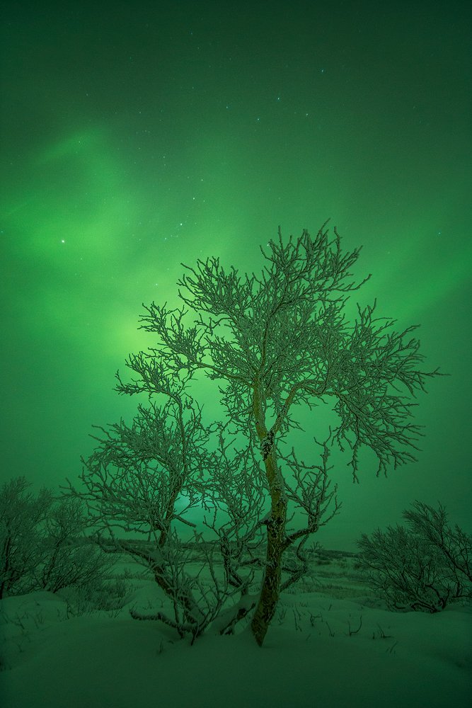 Photograph by Парамонов Григорий