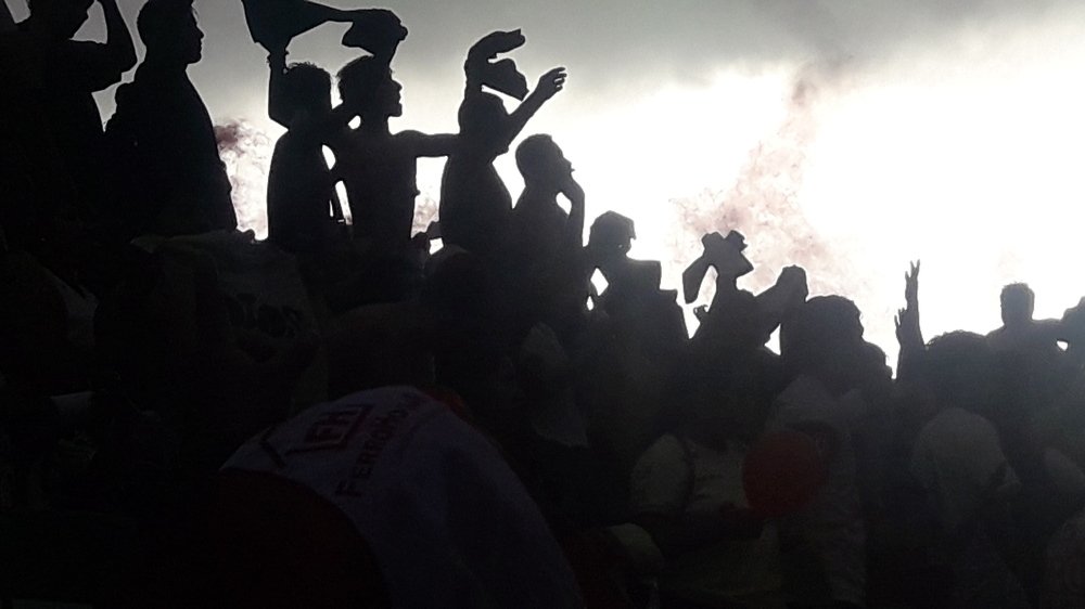 Photo #3790060