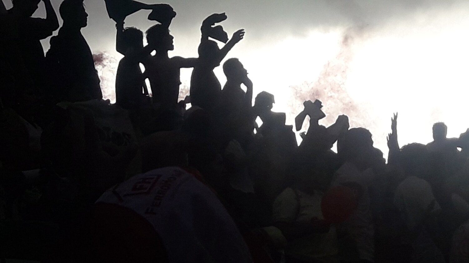 Photo #3790060