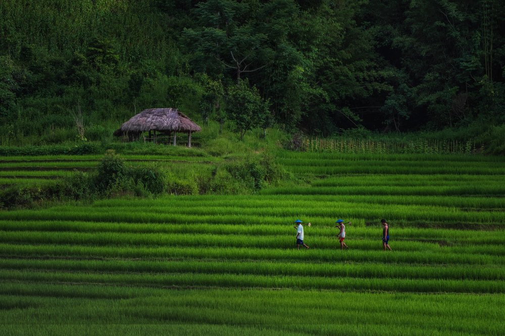 Photograph by Aung Tun