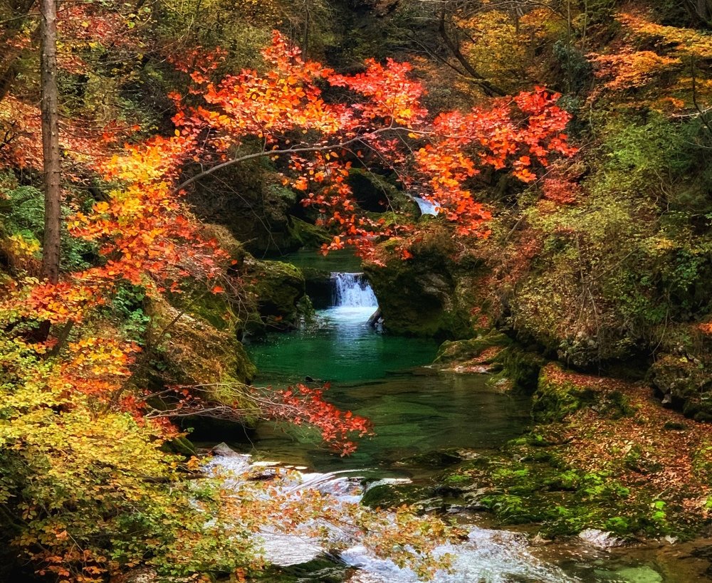 Photograph by Анна Кныш