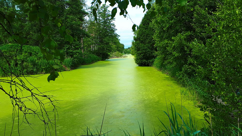 Photograph by Михаил Рассказ