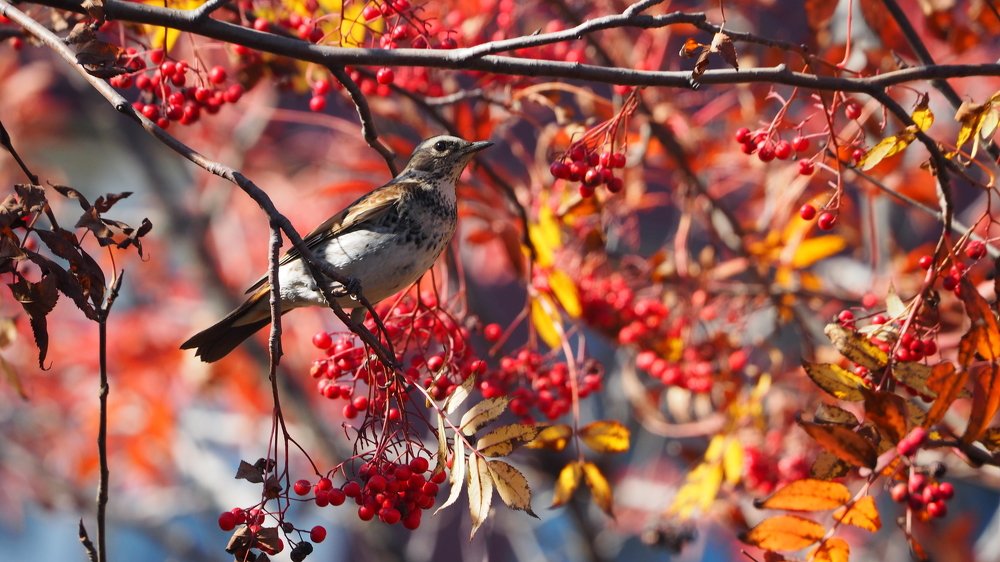 Photograph by Xeniya Kolosova