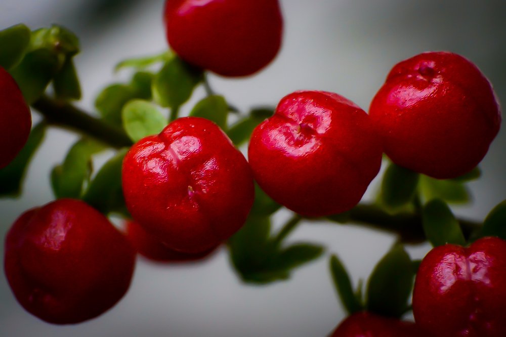 Photograph by Andres Entuna