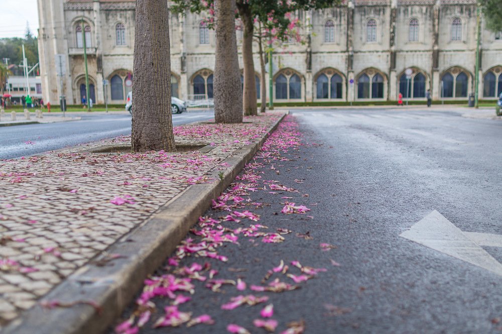 Photograph by  Alexey