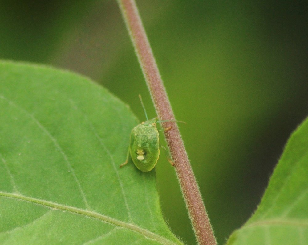 Photograph by Atul mehta