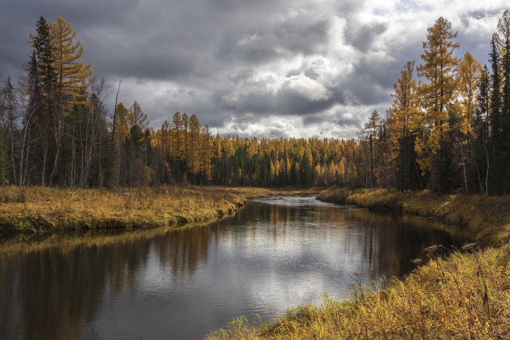 Таёжная река