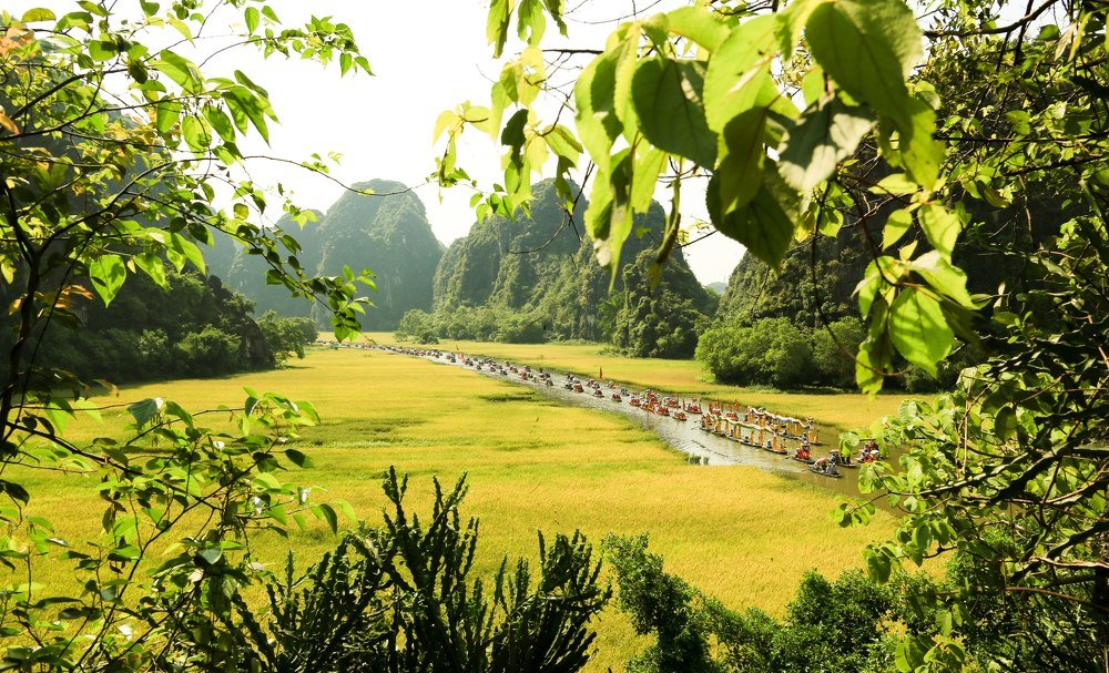 Photograph by Giang Vu