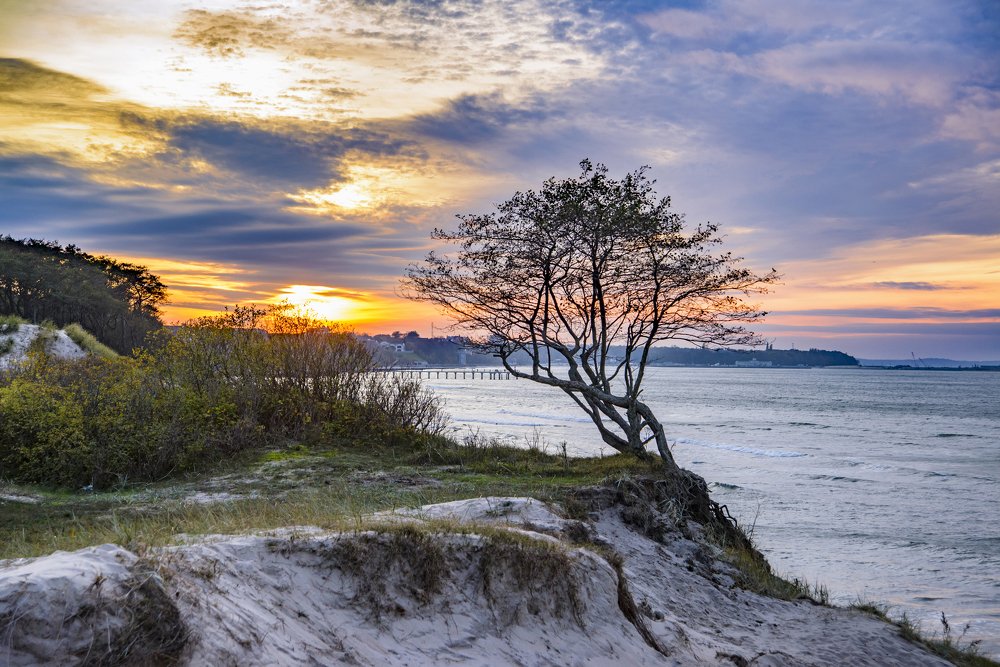 Photograph by Сергей Чуриков