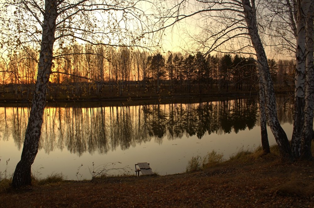 Photograph by 