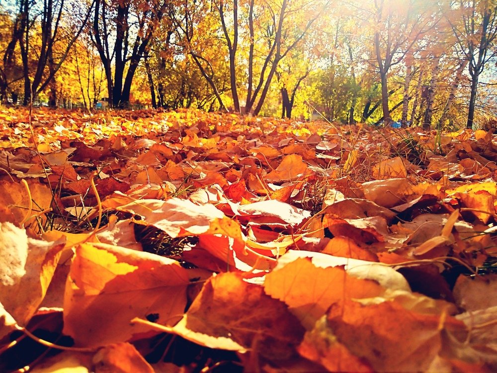 Photograph by Maske *