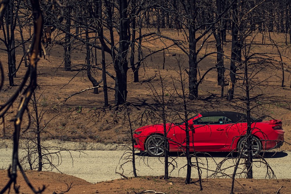 Фотография автора Владимир Эделев