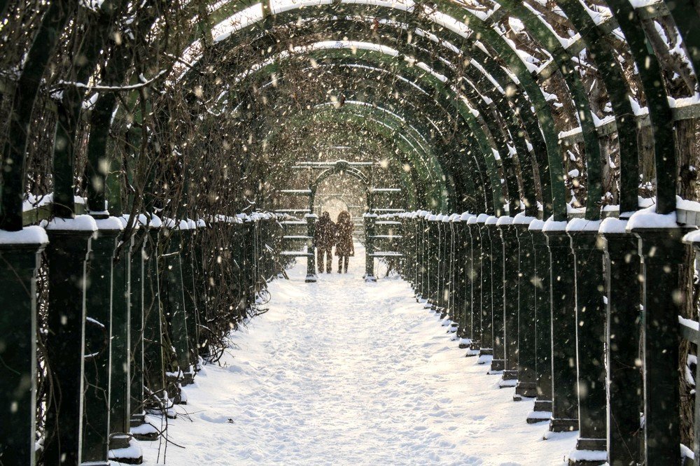 Photograph by Елена Боржковская