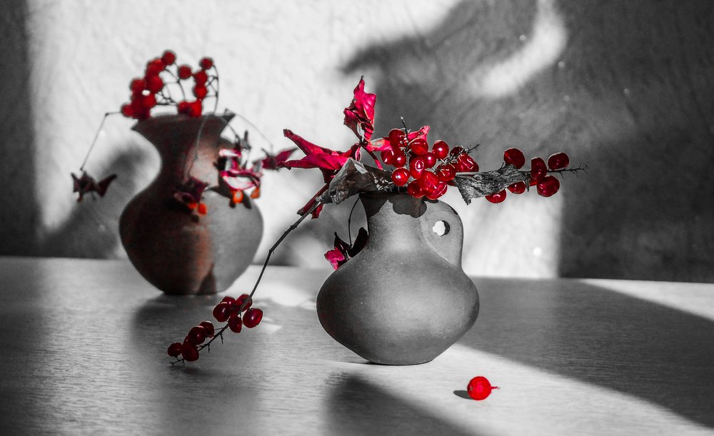 Фотография автора Olena Vorotyntseva