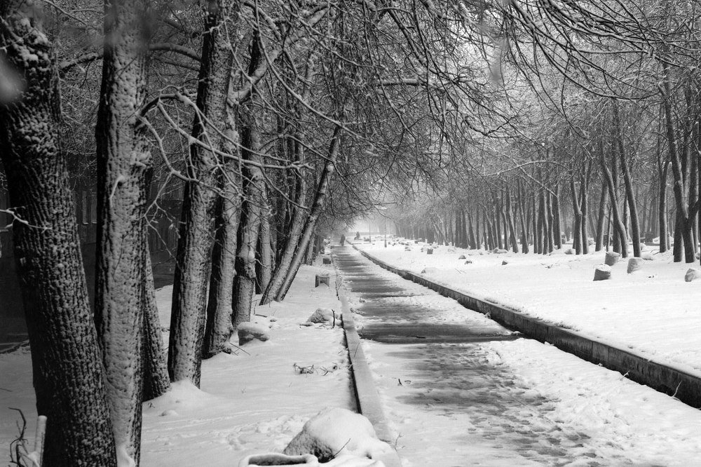 Photograph by Юлия Яремко