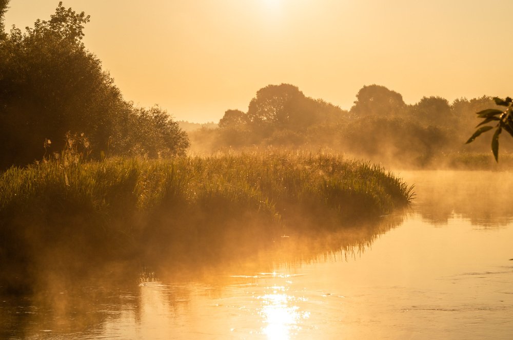 Photograph by Евгений Новицкий