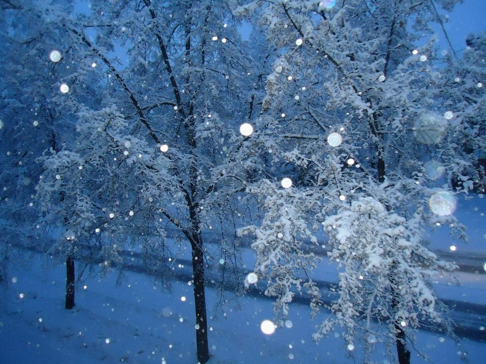 Photograph by Сергей Хвостовец