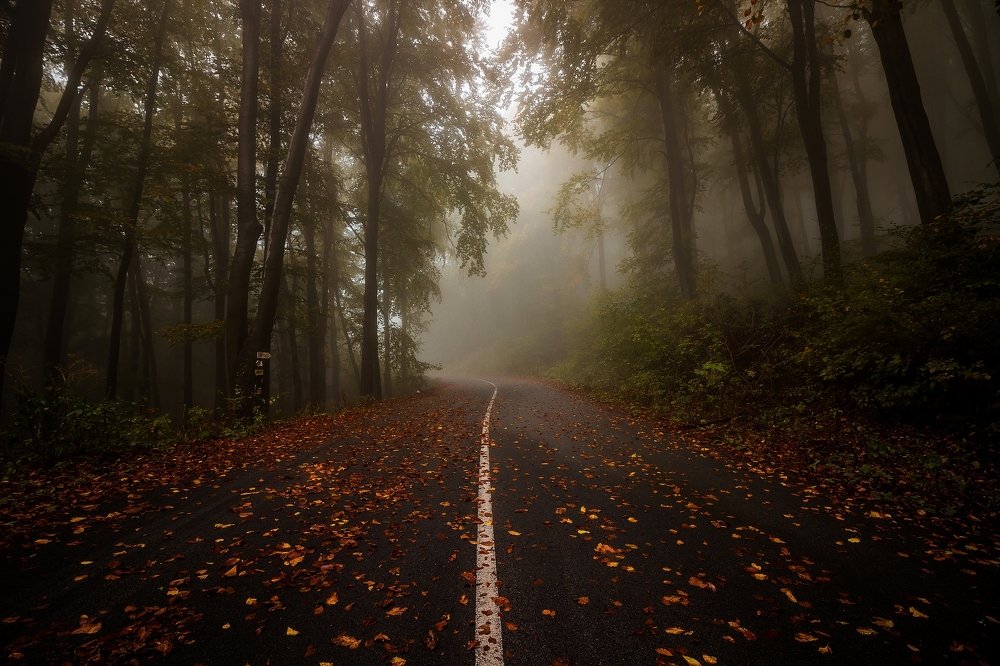 Photograph by Todor Todorov