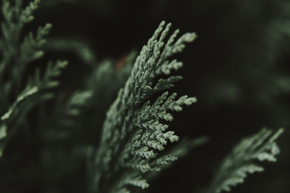 Photograph by Ligita Kluga