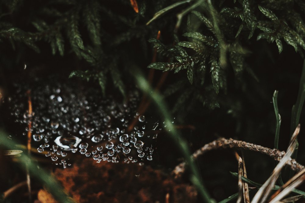 Photograph by Ligita Kluga