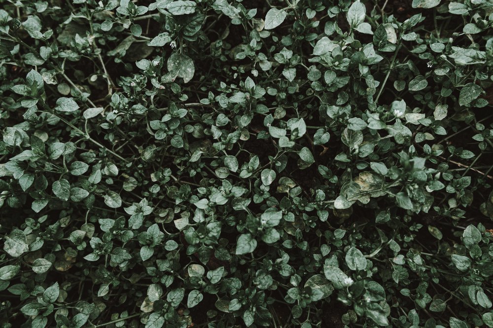 Photograph by Ligita Kluga