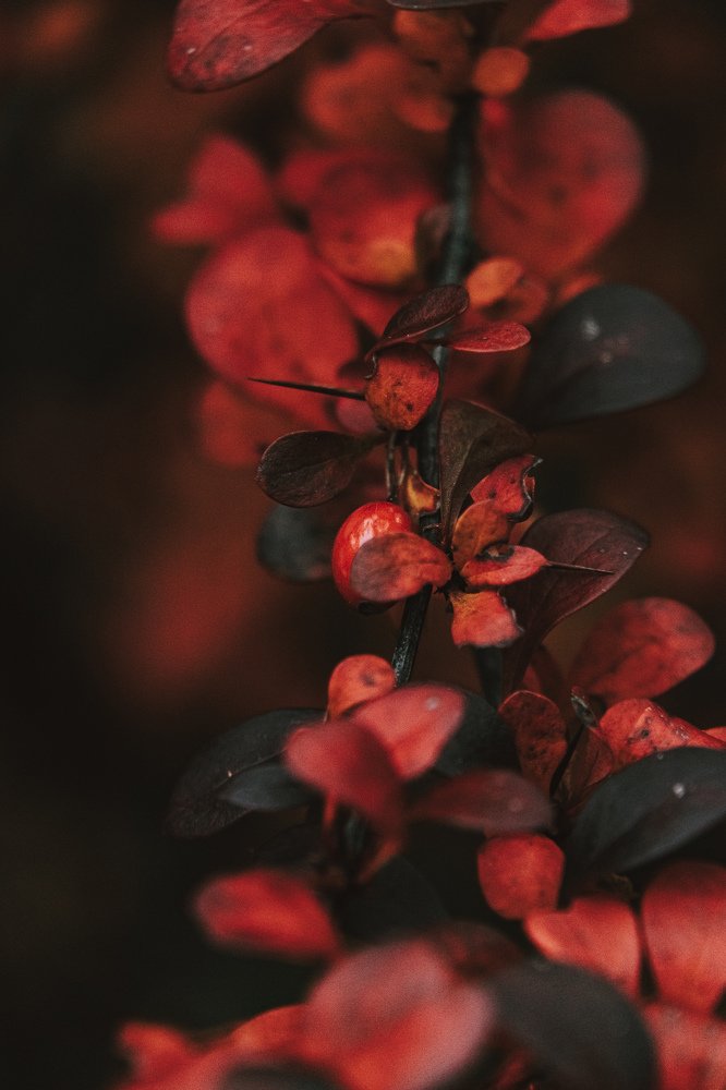 Photograph by Ligita Kluga