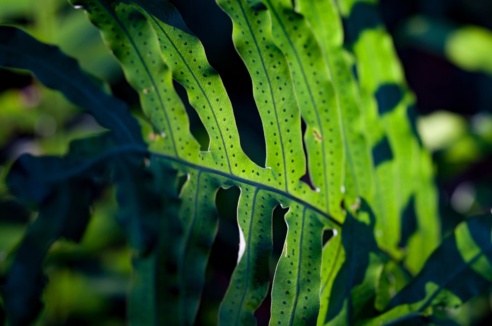 Photograph by Vladislav Kutepov