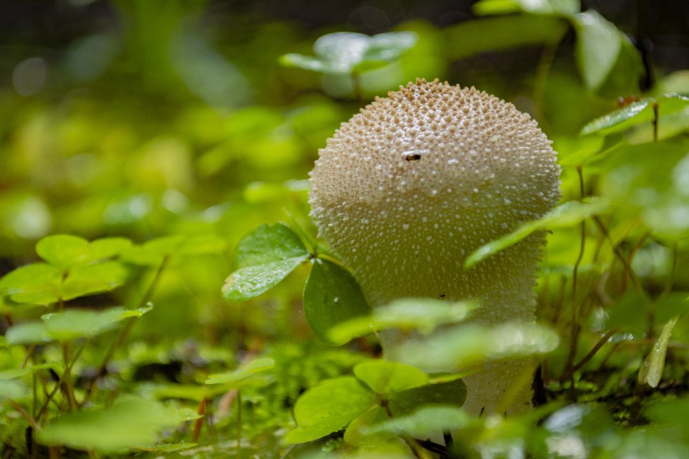 Photograph by Денис Кононов