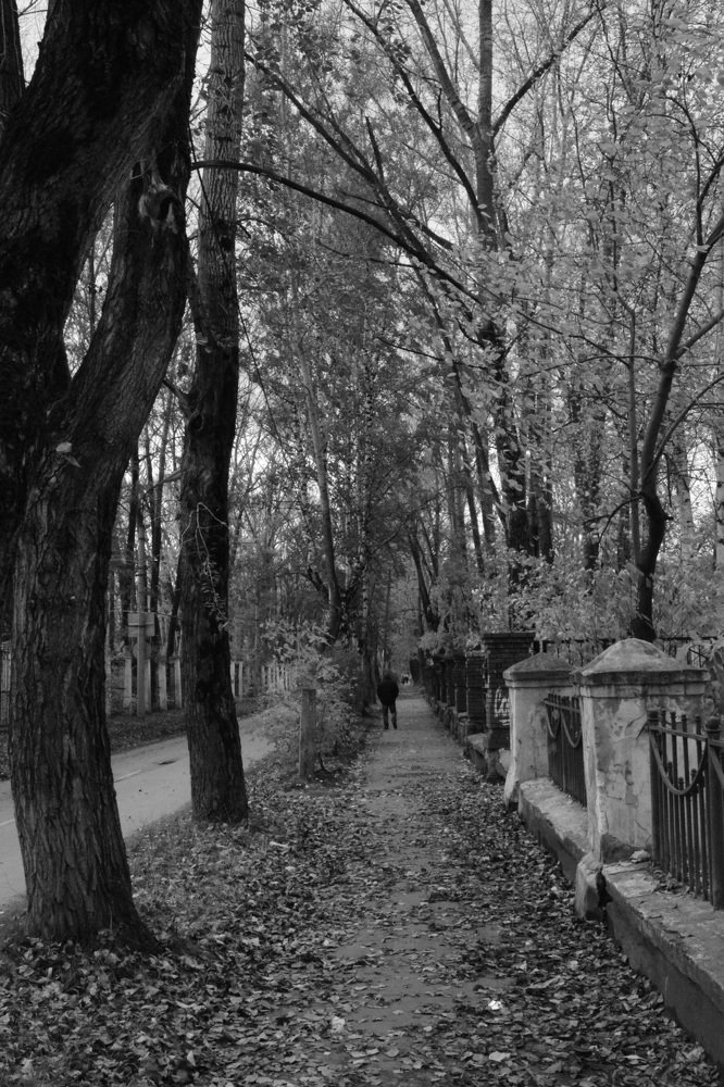 Photograph by Денис Кононов