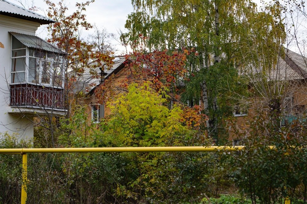 Photograph by Денис Кононов