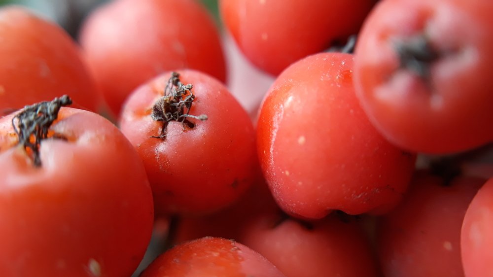 Микро яблоки