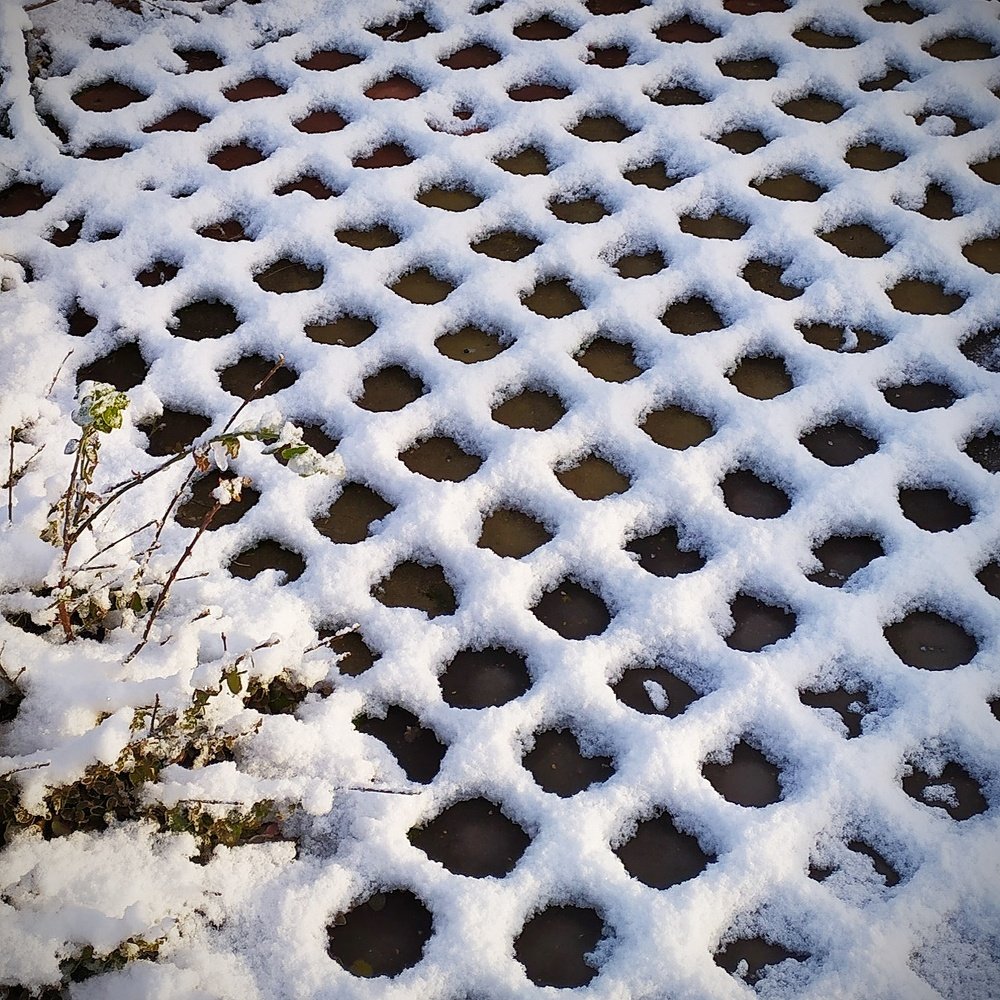 Photograph by Елена Павлова
