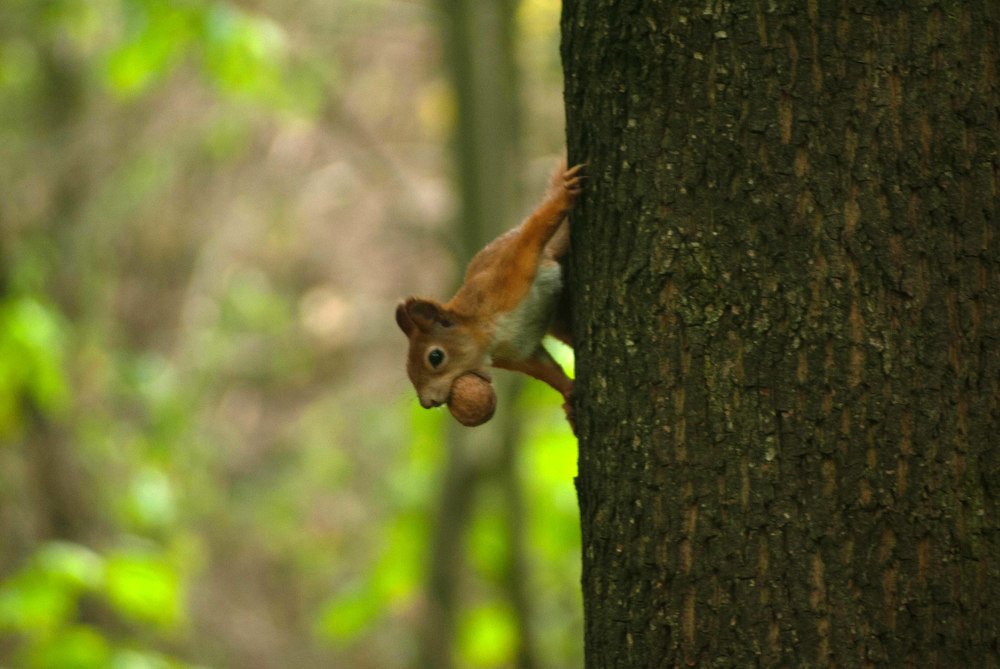 Photograph by Владислав Слюсарев