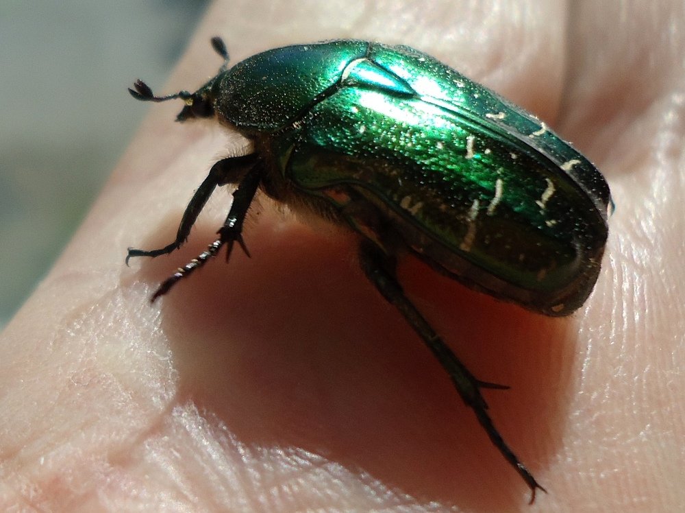 Photograph by Сергей Хвостовец