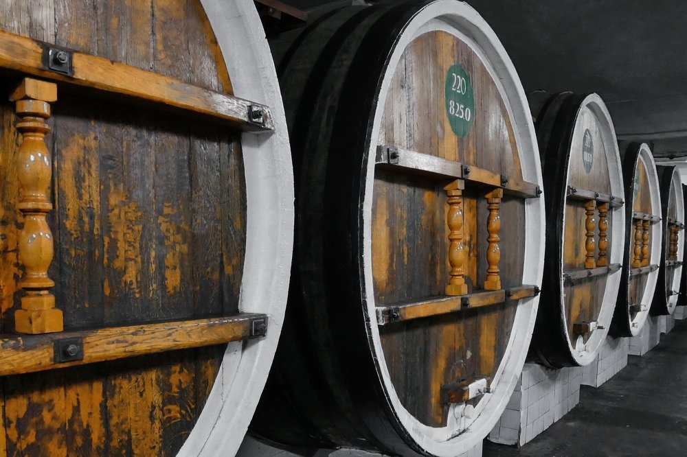 Photograph by Дмитрий Петухов