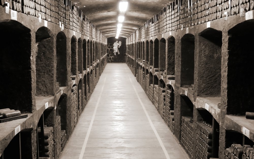 Photograph by Дмитрий Петухов