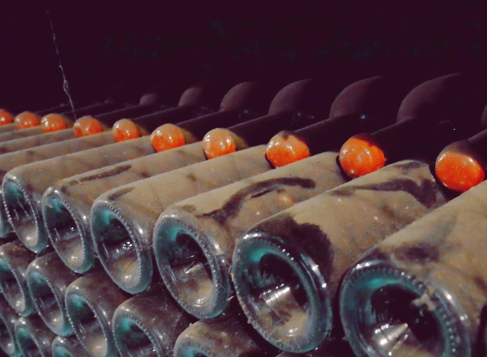 Photograph by Дмитрий Петухов