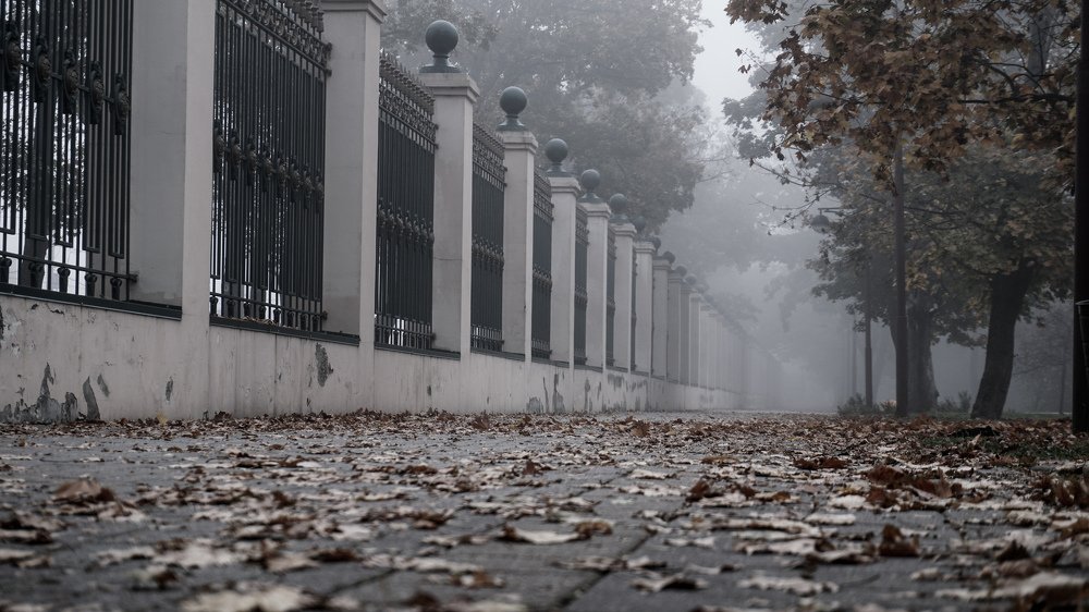 Photograph by Артём Горбань