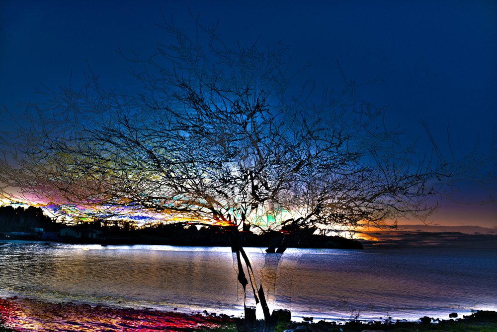 Photograph by Alexandra Mitakidis