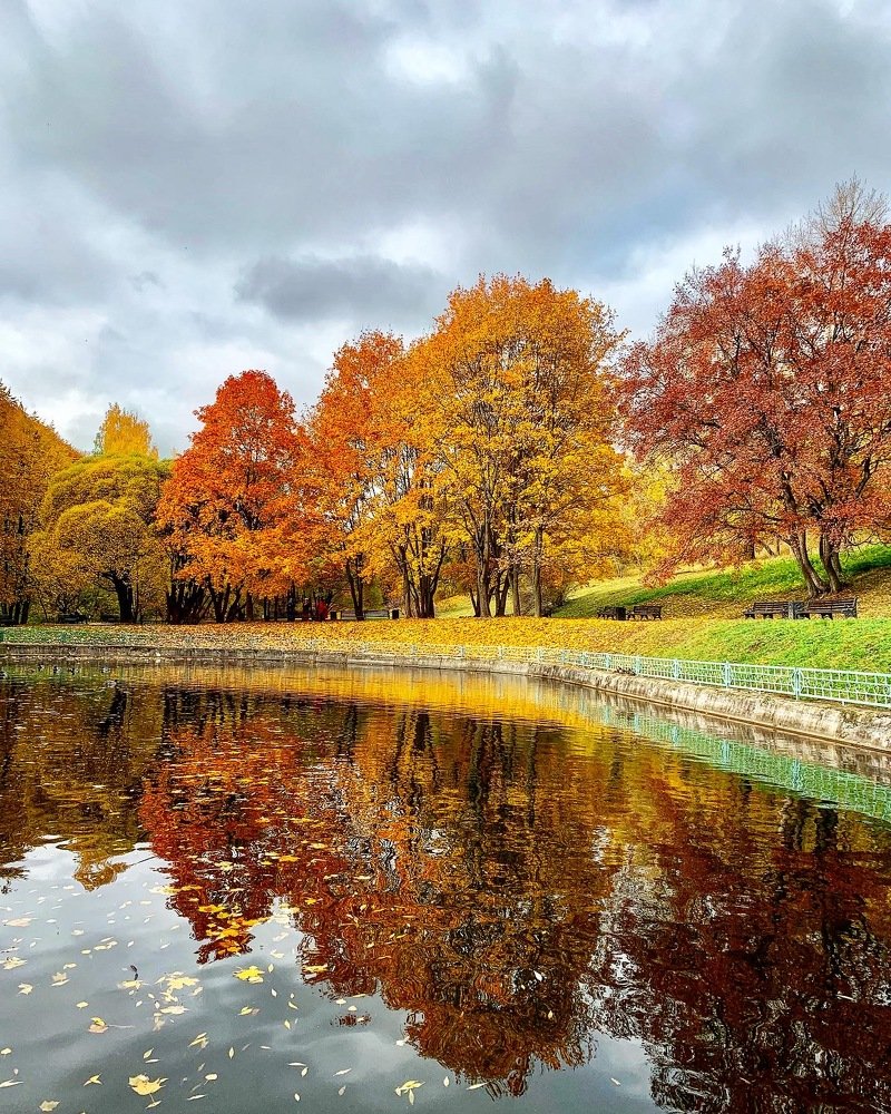 Photograph by Никита Борзов