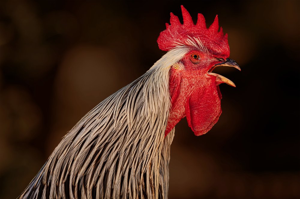 Photograph by Lidiya Dmitrieva